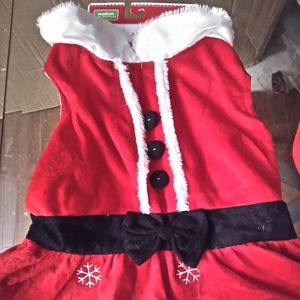 Doggie Santa dress SOLD